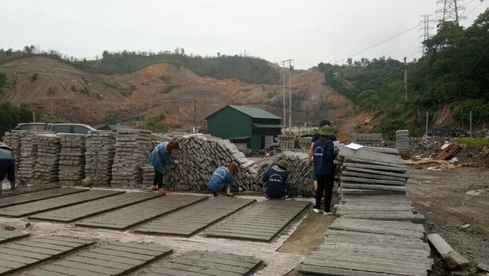Môi Trường Việt với 3 mặt trận lớn năm 2017
